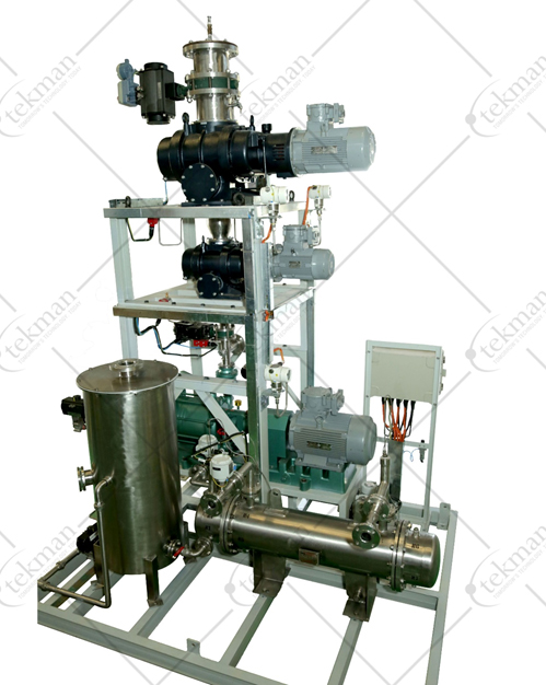 Dry Vacuum Pumping Systems 